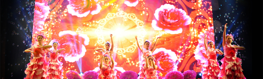 雷诺表2015年终总结暨颁奖盛典