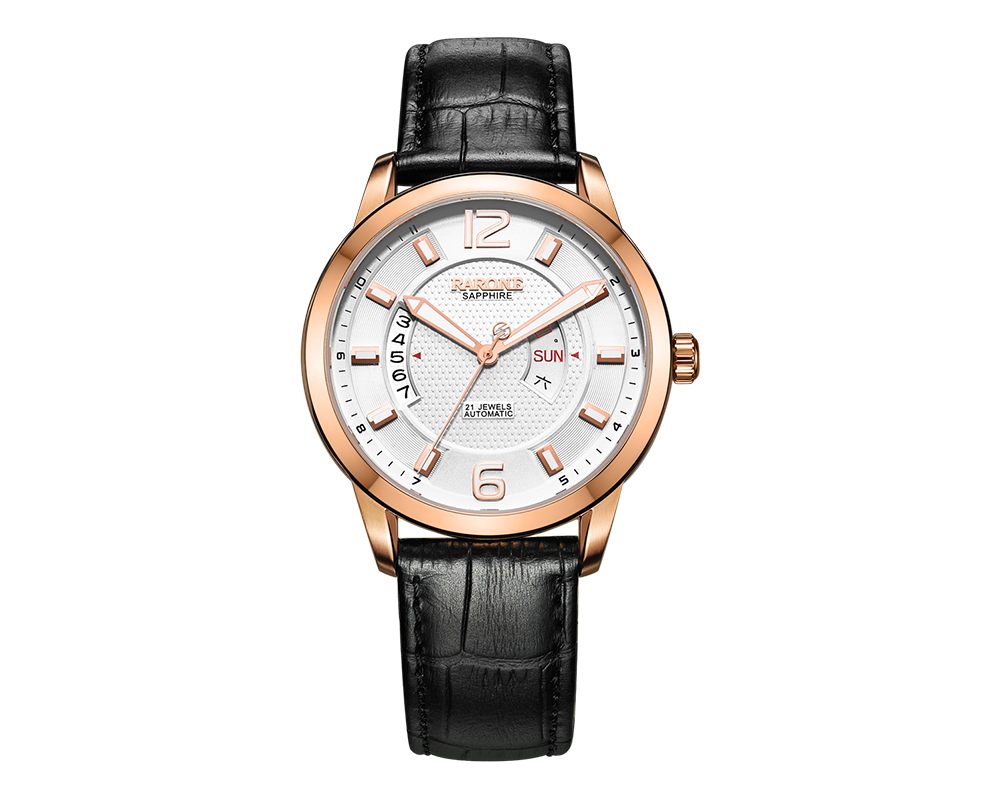 雷诺表8670069059802